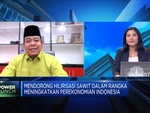 SDM Hingga Teknologi, Kendala Hilirisasi Sawit RI