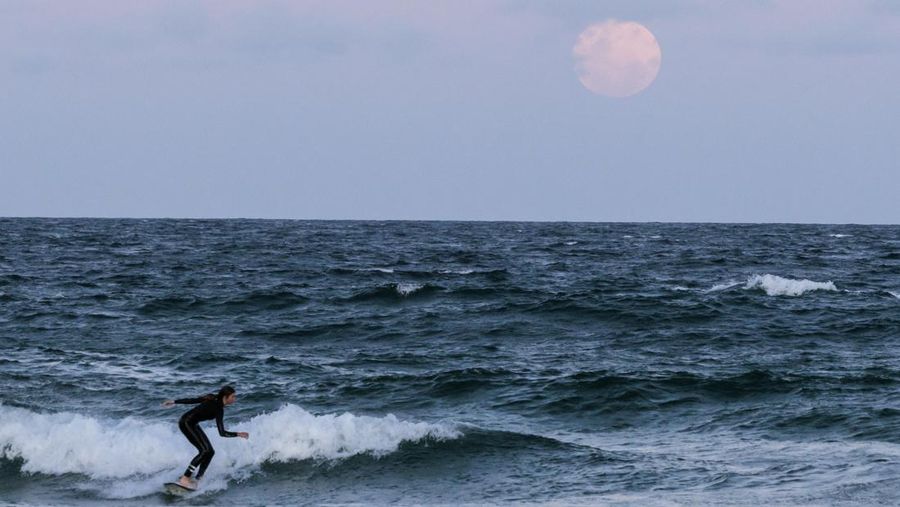 Bulan purnama terbit di Pantai Manly menjelang gerhana bulan total di Sydney pada 08 November 2022 di Sydney, Australia. Warga Australia akan mengalami gerhana bulan total pertama yang terlihat tahun ini pada hari Selasa, dengan gerhana juga terlihat dari Selandia Baru. (Brook Mitchell/Getty Images)