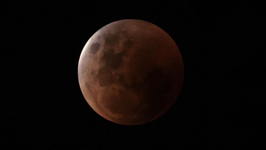A lunar eclipse is seen in Sydney on November 08, 2022 in Sydney, Australia. Australians will experience the first visible total lunar eclipse of the year on Tuesday, with the eclipse also being visible from New Zealand. (Brook Mitchell/Getty Images)