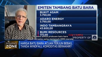 Harga Batu Bara Acuan Terjun Bebas, Era Windfall Berakhir?