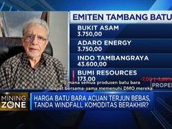 Harga Batu Bara Acuan Terjun Bebas, Era Windfall Berakhir?