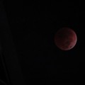 Gerhana Bulan Total Terjadi Nanti Malam, Catat Jadwal-Waktu Puncaknya