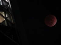 Gerhana Bulan Total Terjadi Nanti Malam, Catat Jadwal-Waktu Puncaknya