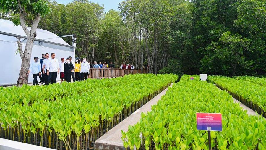 Presiden Joko Widodo (Jokowi) meninjau Taman Hutan Raya (Tahura) Ngurah Rai, Kota Denpasar, Selasa (8/11/2022).  Jokowi secara langsung sejumlah tempat yang akan dijadikan lokasi penyelenggaraan KTT G20. (Foto: Laily Rachev - Biro Pers Sekretariat Presiden)