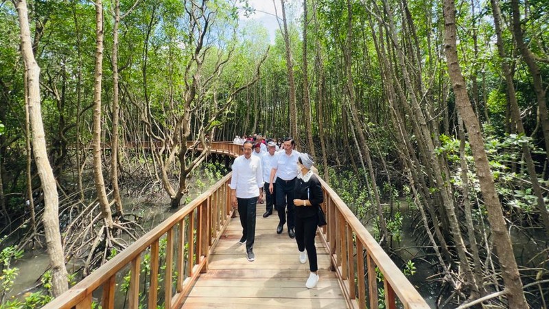 Presiden Joko Widodo (Jokowi) meninjau Taman Hutan Raya (Tahura) Ngurah Rai, Kota Denpasar, Selasa (8/11/2022).  Jokowi secara langsung sejumlah tempat yang akan dijadikan lokasi penyelenggaraan KTT G20. (Foto: Laily Rachev - Biro Pers Sekretariat Presiden)