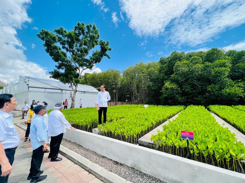 Presiden Joko Widodo (Jokowi) meninjau Taman Hutan Raya (Tahura) Ngurah Rai, Kota Denpasar Jelang KTT G20 Presiden Joko Widodo (Jokowi) meninjau Taman Hutan Raya (Tahura) Ngurah Rai, Kota Denpasar, Selasa (8/11/2022). Jokowi secara langsung sejumlah tempat yang akan dijadikan lokasi penyelenggaraan KTT G20. (Foto: Laily Rachev - Biro Pers Sekretariat Presiden)