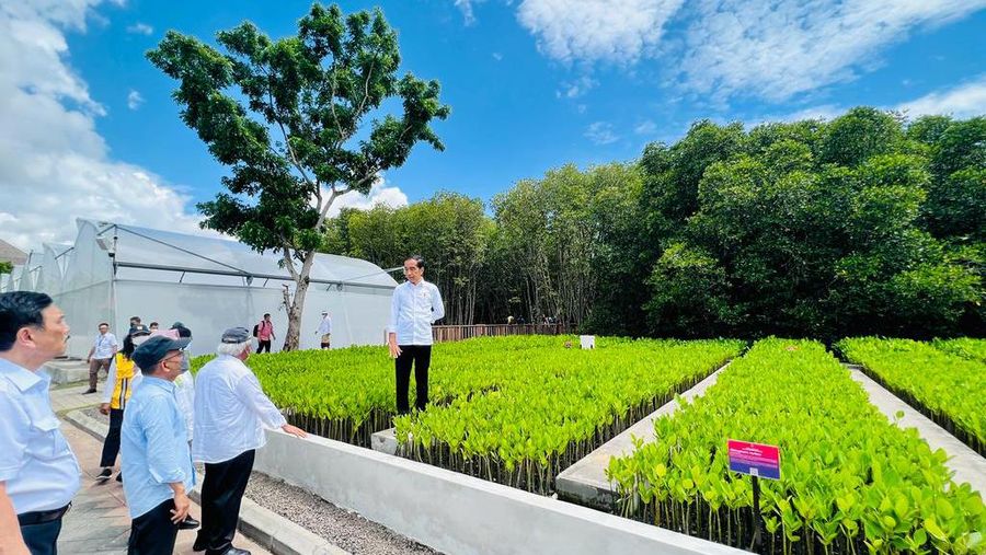 Presiden Joko Widodo (Jokowi) meninjau Taman Hutan Raya (Tahura) Ngurah Rai, Kota Denpasar, Selasa (8/11/2022).  Jokowi secara langsung sejumlah tempat yang akan dijadikan lokasi penyelenggaraan KTT G20. (Foto: Laily Rachev - Biro Pers Sekretariat Presiden)
