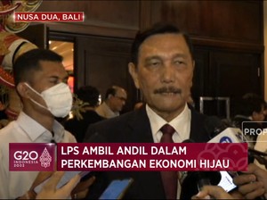 Komitmen RI dan Andil LPS Dalam Transisi Energi