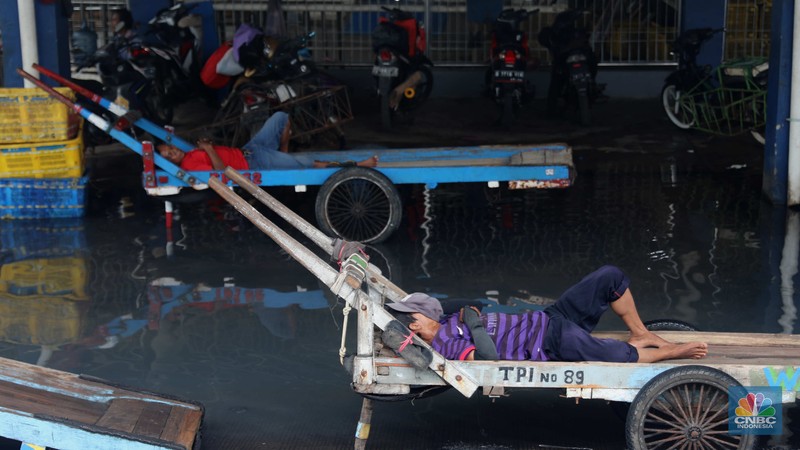 Pesisir Muara Angke di wilayah Pluit, Penjaringan, Jakarta Utara, terpantau masih aman dari terjangan banjir rob pada (9/11/2022). Pesisir Muara Angke di wilayah Pluit, Penjaringan, Jakarta Utara, terpantau masih aman dari terjangan banjir rob pada (9/11/2022). (CNBC Indonesia/ Muhammad Sabki)