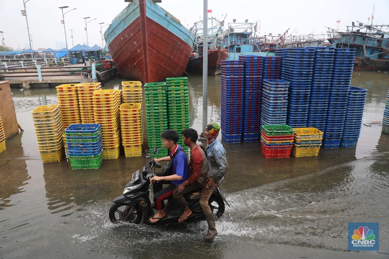 Pesisir Muara Angke di wilayah Pluit, Penjaringan, Jakarta Utara, terpantau masih aman dari terjangan banjir rob pada (9/11/2022). (CNBC Indonesia/ Muhammad Sabki)