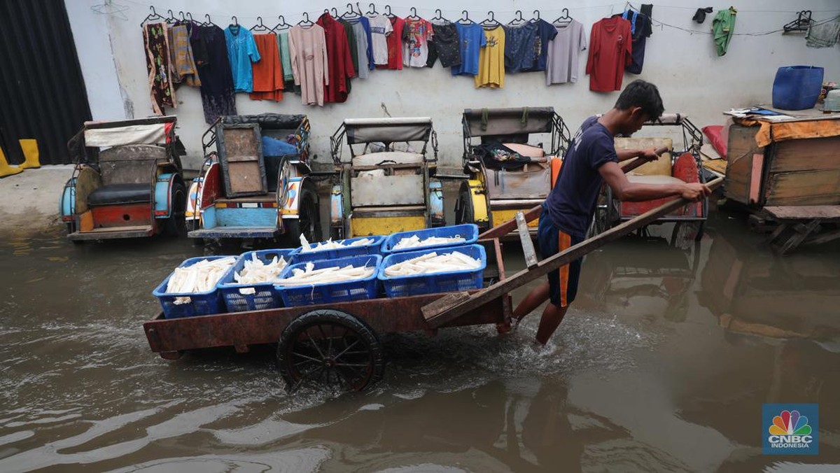 Waspada Banjir Rob! Simak Jadwal dan Lokasi yang Perlu Diperhatikan Menurut BMKG