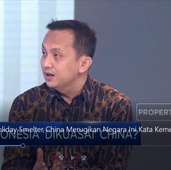 Tax Holiday Smelter China Disebut Merugikan Negara, Benarkah?