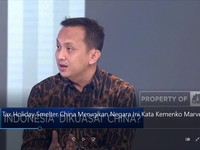 Tax Holiday Smelter China Disebut Merugikan Negara, Benarkah?