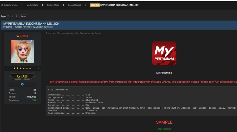 Screenshot Akun Bjorka