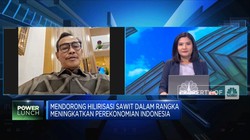 Urgensi Hilirisasi Sawit Bagi Perekonomian Indonesia