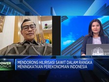 Urgensi Hilirisasi Sawit Bagi Perekonomian Indonesia
