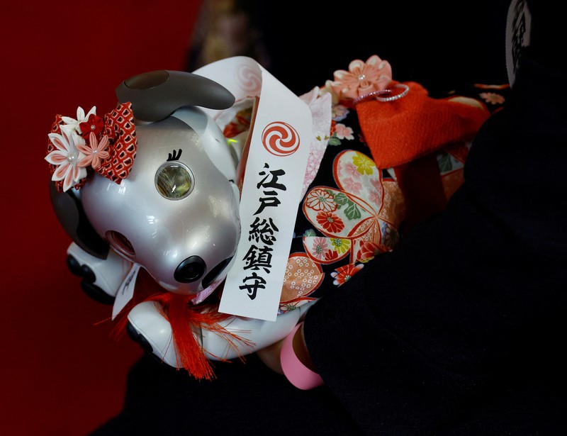 Anjing robot Sony 'Aibo' di ikut sertakan dalam upacara ritual Sichi-Go-San. Owners of Sony's entertainment robot dog