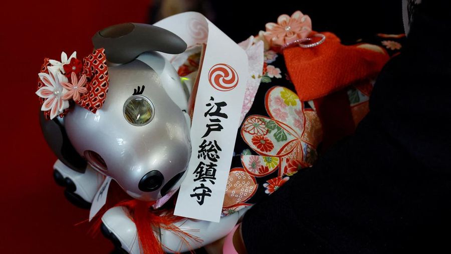 Owners of Sony's entertainment robot dog 