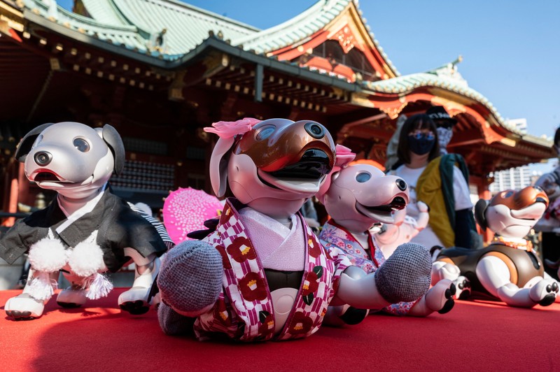 Anjing robot Sony 'Aibo' di ikut sertakan dalam upacara ritual Sichi-Go-San. Owners of Sony's entertainment robot dog