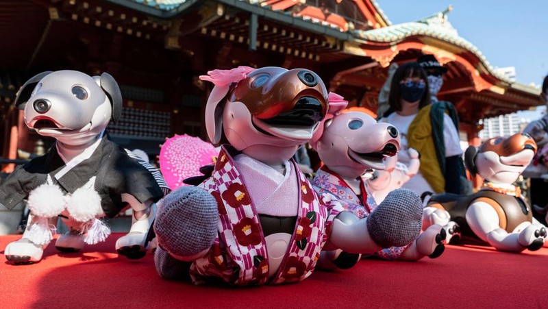 Owners of Sony's entertainment robot dog 
