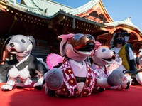 Potret Festival 'Bocah' Jepang yang Diserbu Anjing Robot