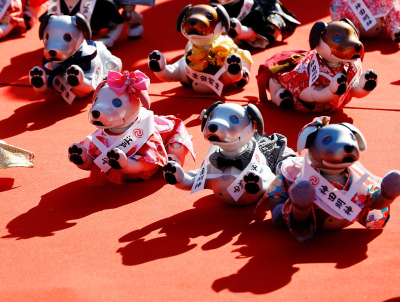 Anjing robot Sony 'Aibo' di ikut sertakan dalam upacara ritual Sichi-Go-San. Owners of Sony's entertainment robot dog