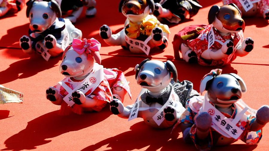 Owners of Sony's entertainment robot dog 