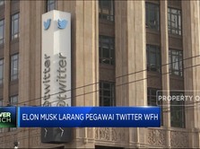 Genjot Kinerja, Elon Musk Larang Karyawan Twitter WFH