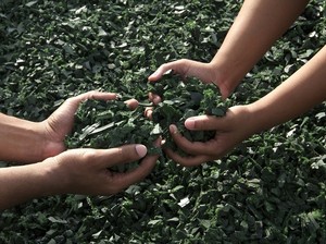 COP28 Bisa Jadi Momentum Pengelolaan Limbah Berkelanjutan