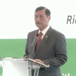 Soal Penanganan Perubahan Iklim, Luhut: Jangan Ajari Kami!