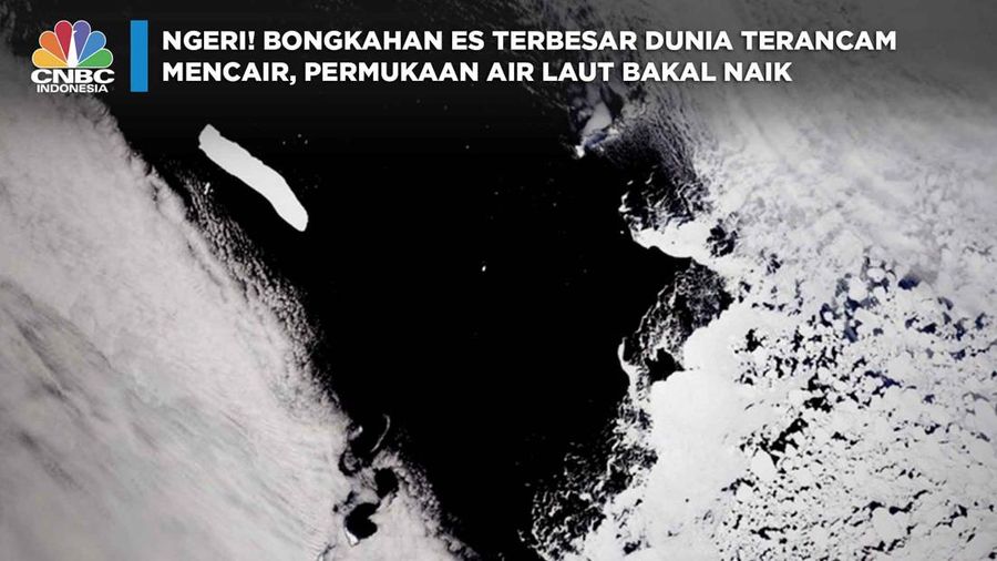 Ngeri! Bongkahan Es Terbesar Dunia Terancam Mencair, Permukaan Air Laut Bakal Naik