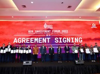 Pertamina NRE Kembangkan Proyek Hidrogen & Amonia Hijau