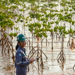 MIND ID Pelopor Dekarbonasi di Indonesia