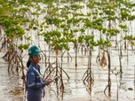 MIND ID Pelopor Dekarbonasi di Indonesia