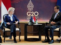 Jokowi Ungkap 3 Tantangan ke Presiden Komisi Eropa, Apa Saja?