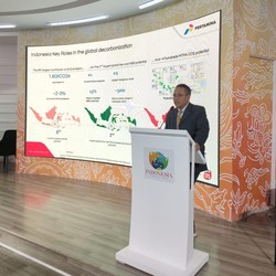 Pertamina Ungkap Dua Pilar Bisnis Tangani Perubahan Iklim