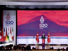 Erdogan Buka-bukaan soal Ekspor Gandum Laut Hitam di KTT G20