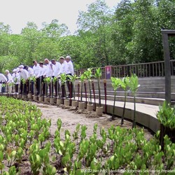Saat Jokowi Ajak Biden Cs Nyangkul di Taman Mangrove Bali