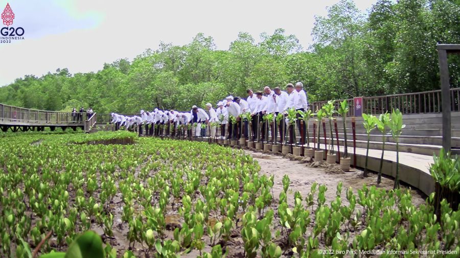 Kunjungan Pemimpin G20 ke Taman Hutan Raya, Bali, 16 November 2022