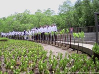 Saat Jokowi Ajak Biden Cs Nyangkul di Taman Mangrove Bali