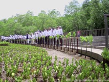 Saat Jokowi Ajak Biden Cs Nyangkul di Taman Mangrove Bali