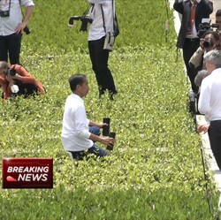 Jokowi Sindir Program Tanam 1 Miliar Pohon, 'Saya Hitung'