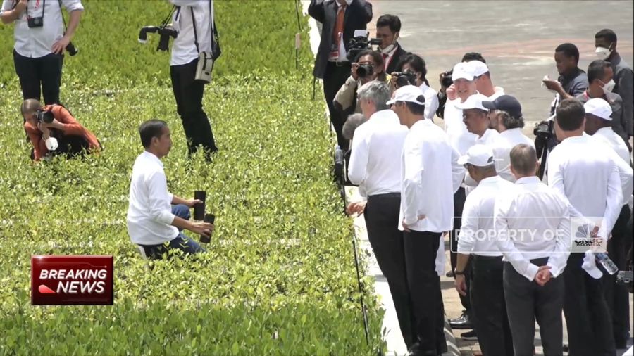 Video: Jokowi dan Kepala Negara G20 Tanam Mangrove  (CNBC Indonesia TV)