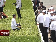 Video: Jokowi Ajak Biden Cs ke Taman Mangrove Bali