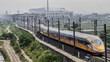 Kata Luhut & BUMN Balik Modal Kereta Cepat Bisa 80 Tahun