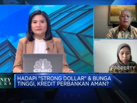 Video: Bank Perkuat Modal & Pencadangan, Kredit Aman?