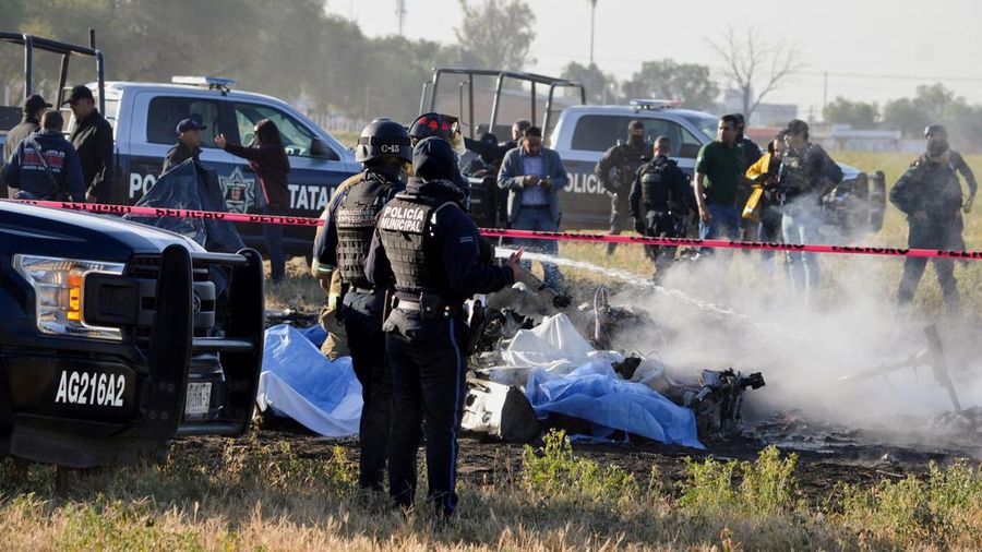Members of security forces check the site where the head of security of the central Mexican state of Aguascalientes has died in a helicopter crash, in Aguascalientes, Mexico November 17, 2022. REUTERS/Liberto Urena NO RESALES. NO ARCHIVES