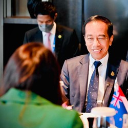 Tak Ragu! Jokowi Siapkan Ini Lawan Kekalahan Gugatan di WTO