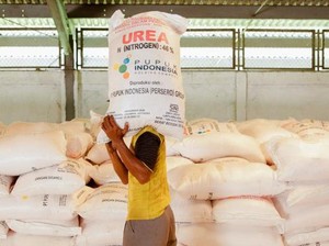 Pupuk Indonesia Distribusikan Pupuk Subsidi ke 14,7 juta Petani di 2025