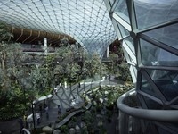 Bandara Timur Tengah Ini Jadi yang Terbaik di Dunia, Kalahkan Changi